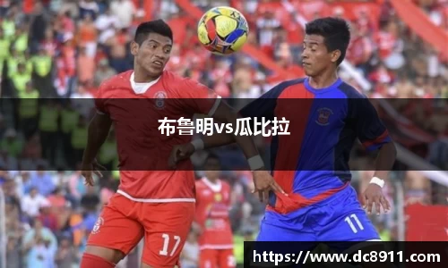 布鲁明vs瓜比拉